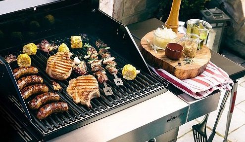Stationary Gas Grill vs Mobile Propane Grill: All Things Considered